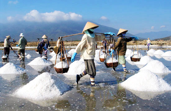 Nửa[-]tạ[-]muối[-]1[-]bát[-]phở:[-]Bữa[-]sáng[-]"nặng[-]đô"[-]của[-]nông[-]dân